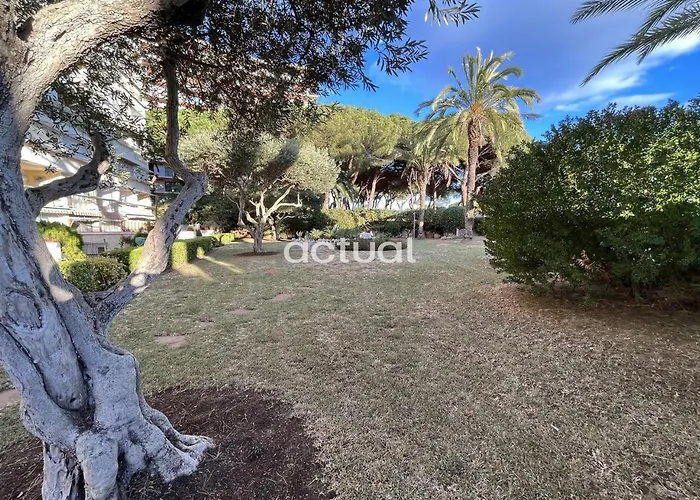 Cavall Bernat 89